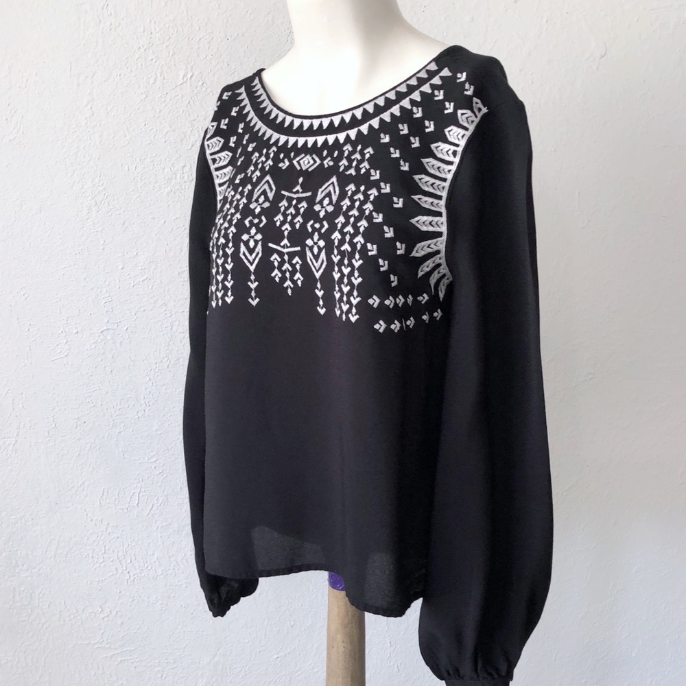 F21 Cropped semi sheer top with boho embroidery